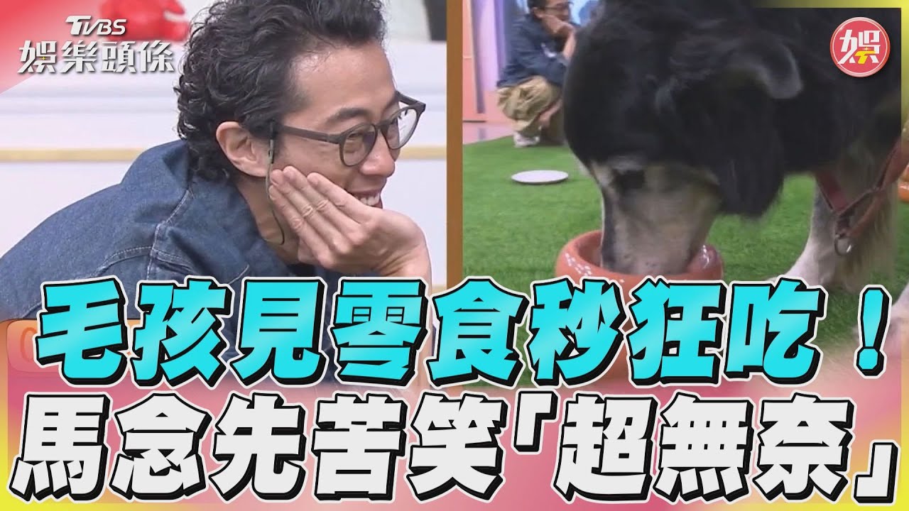 影音/馬念先讚毛孩個性「很穩定」 被零食誘惑一秒「暴風吸入」