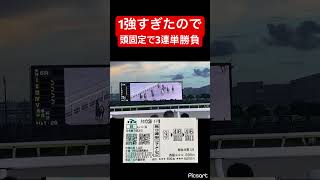 【紐争い】完全に1着は決まってたので3連単頭固定で勝負した結果… #競馬