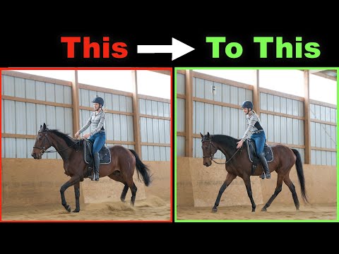 HOW TO SLOW A FAST HORSE DOWN 🐎