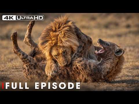 Hostile Planet | The Fight for Survival | FULL EPISODE | Wildlife Documentary