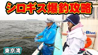 アジ・シロギス・キスの釣果写真