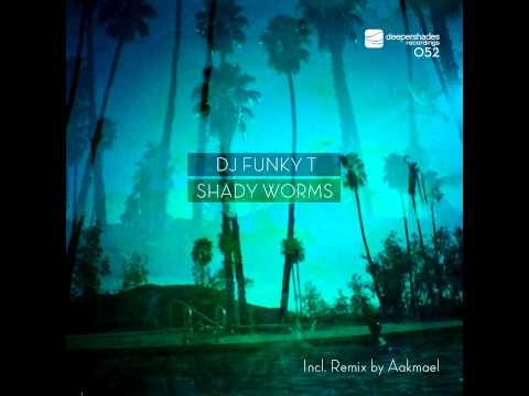 DJ Funky T - Shady Worms (DJ Aakmael Remix) - Deeper Shades Rec DEEP HOUSE MOODY