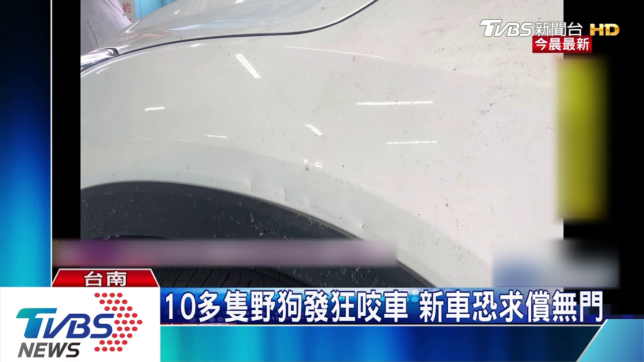 車遭破壞鈑金凹 竟是野狗群抓狂啃咬