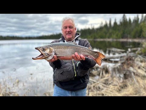 Manitouwadge (Northern Ontario) Brook Trout Fishing