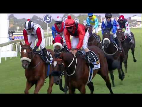 BETTING WORLD GUINEAS 2016. ABASHIRI SLAMS EM.