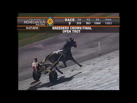 2018 Breeders Crown Open Trot Final - Homicide Hunter