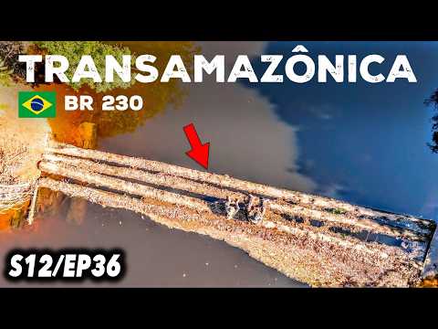 Alone in the Amazon rainforest on a 1988 Ténéré motorcycle [Apuí to Mata Mata] - S12EP36