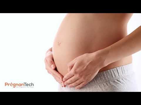 PregnanTech logo