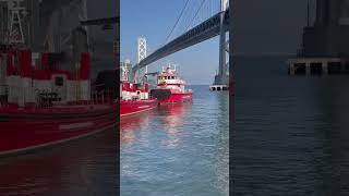 Download lagu San Francisco, California #pier39 mp3 Download lagu San Francisco, California #pier39 mp3