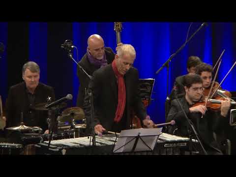 'Love Is A Planchette' Joe Locke w/ Orchestra de Camera della Sardegna (arr. by Mark Urness)