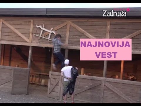 DUPLA DISKVALIFIKACIJA - DVOJICA BEŽE iz Zadruge - Ugrozili sopstvene živote #zadruga #zadrugainfo