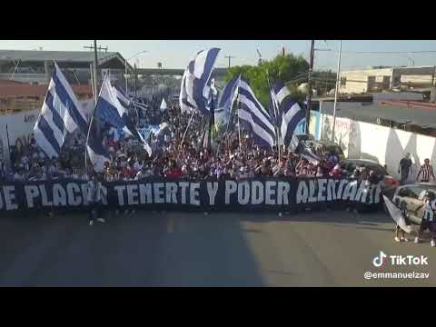 "ARRIBA LAS RAYAS " Barra: La Adicción • Club: Monterrey