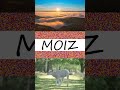 ️ MOIZ INDIAN HINDU Boy Names MOIZ Name WhatsApp Status Shorts