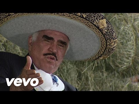 Faltas Tu - Vicente Fernández