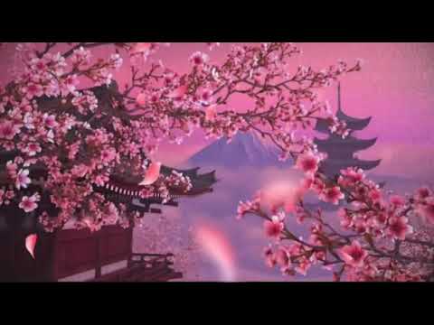 [Tra Benz] BlacK Panda ( china song )