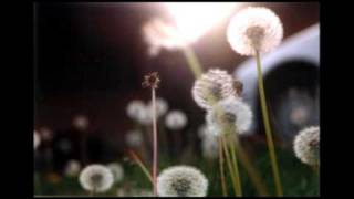 tutto quello che ho sempre voluto linea 77