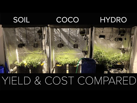 Soil vs Coco vs Hydro yield result & overall comparison
