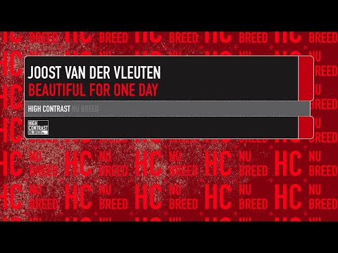 Joost van der Vleuten - Beautiful For One Day [High Contrast Nu Breed]