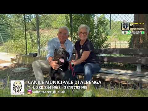 MUNICIPALE DI ALBENGA (28) Puntata 1607