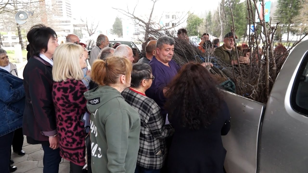 Стотици фиданки раздадоха на смолянчани лесничеи от държавните горски стопанства в Смилян и Борино. Те са отгледани в разсадниците към тях.