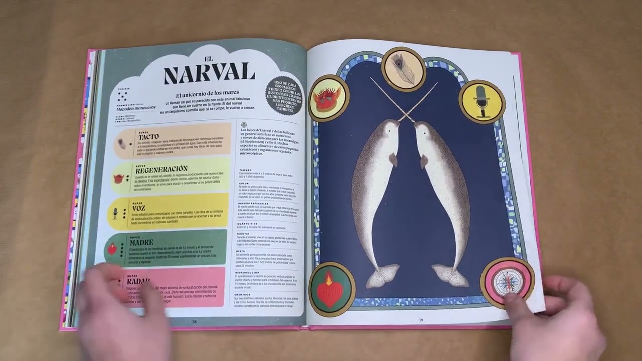 Video de Abrazandocuentos: Librería y distribuidora de libros infantiles