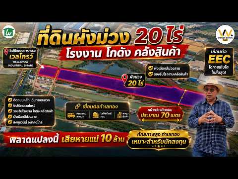 🔥🔥#ขายที่ดินผังสีม่วง 20 ไร่ 🔥สำหรับโรงงาน โกดัง คลังสินค้า เชื่อมต่อ EEC – รูปที่ 2