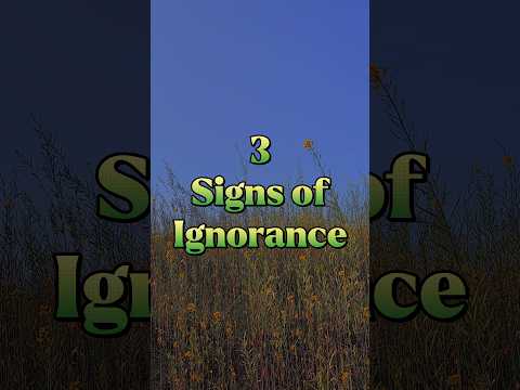 3 signs of ignorance