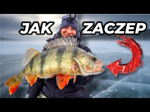 NIGDY NIE MIAŁEM TAKICH BRAŃ! 🔥❄️