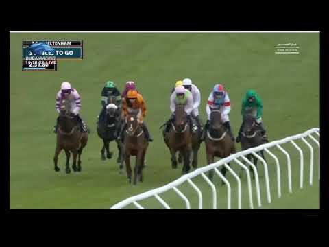 Cheltenham Queen Mother Champion chase 17 03 2021