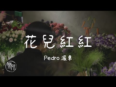Pedro派卓 I 花兒紅紅『花兒紅 花兒自己知道 她來自山中 沒想過日隱世道 花兒沒了養分 還得是你製造』Lyrics Video【高音質 動態歌詞/PinyinLyrics】