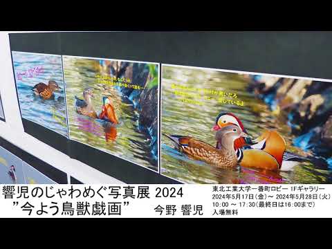 響児の じゃわめぐ写真展 2024 ”今よう鳥獣戯画”