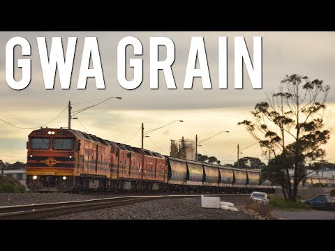 South Australia locomotives in Victoria! (GWA's Grain Train to Geelong) | ALF18, CLP14, CLP17