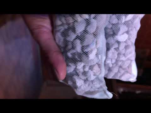 Aquaforest life biofill parte 2 https://instagram.com/johannaneldiosdeloscorales?r=nametag