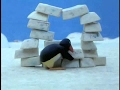 Pingu Pingu Builds An Igloo