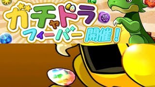 [제 5회 가챠도라 피버] 44,943 점 (+ 보상 가챠)