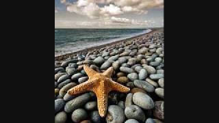 Florida -Patty Griffin