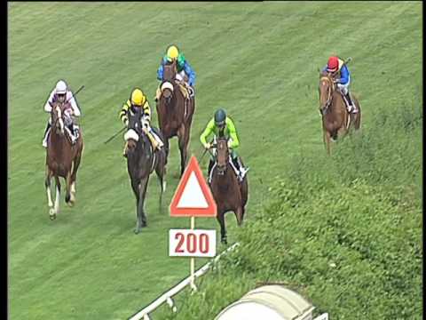 Galoppo 11/05/2017 - 1ª corsa