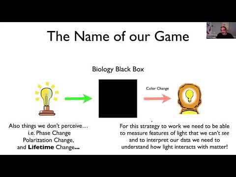 A Dilettante’s Guide to FLIM/FRET