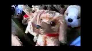 Sparklehorse - King Of Nails (Official Video)