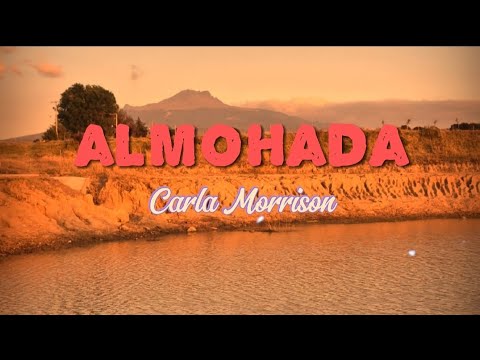 Almohada - Carla Morrison ( Letra )