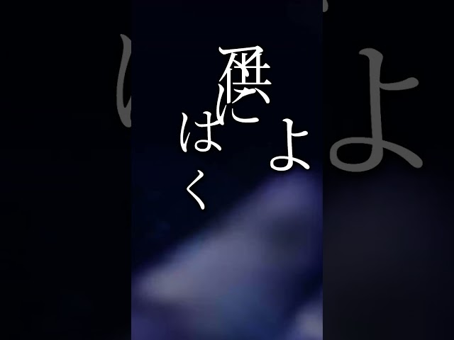 事後調査報告：デカトリア事象よりマイナス７６日