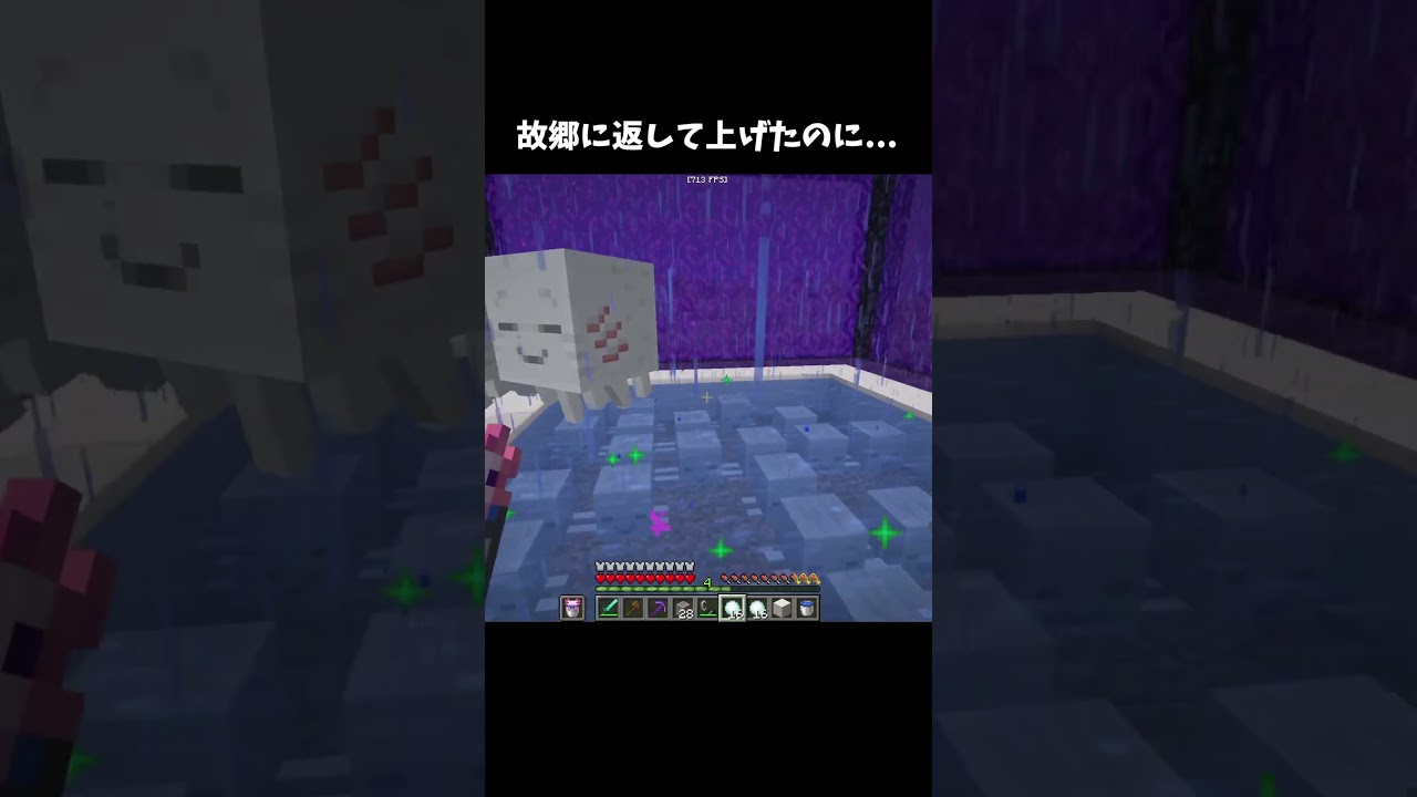 助けてあげたのに...😭