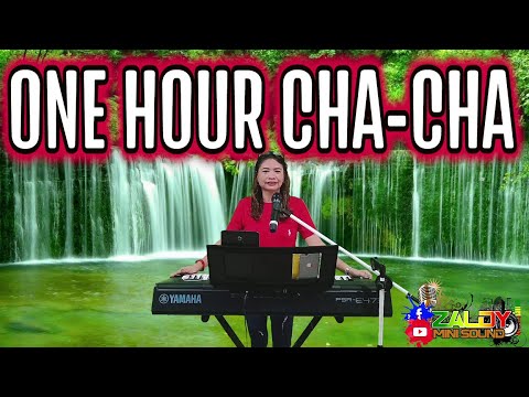 LET'S DANCE! ONE HOUR CHA - CHA NONSTOP 2025 | ARLIN CASTILLO FT. ZALDY MINI SOUND