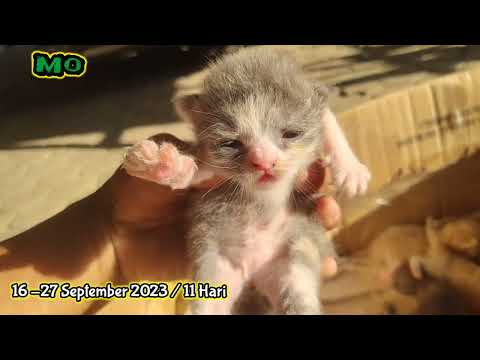 Ian Storm, John Laurant & Carl Clarks - Losing My Religion (feat. Polina Vita)