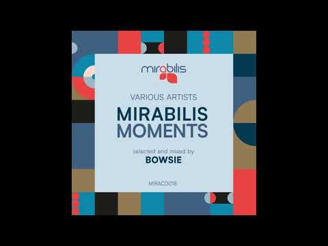 Nik Feral - Disfigured Nature (Original mix)