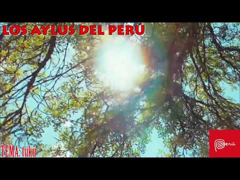 LOS AYLLUS DEL PERÚ salay primicia 2020