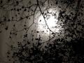 Alien Hand Syndrome - The Evil And The Lovelorn ...