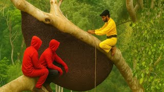 Insane Honey Extraction From Dangerous Jungle Hives