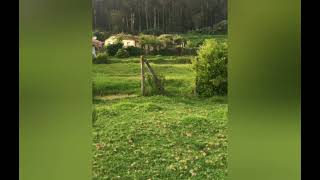 Residential Plot for Sale in Lovedale Junction, Ooty
