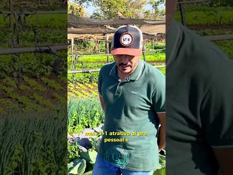 PENSA NUMA HORTA SENSACIONAL - Parte 2